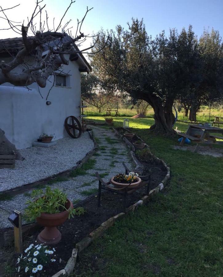 C'Era Una Volta Podere San Giovanni Фоссачезия Экстерьер фото