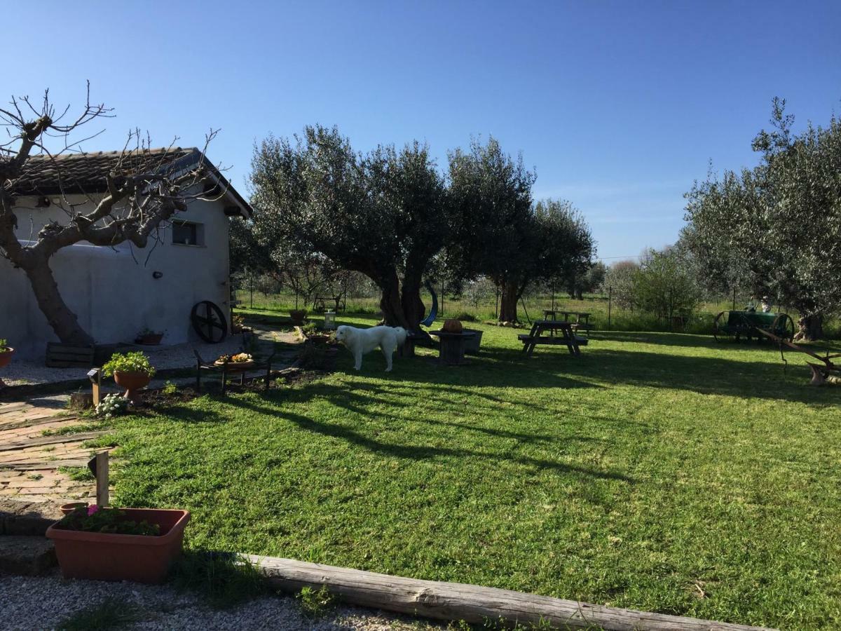 C'Era Una Volta Podere San Giovanni Фоссачезия Экстерьер фото